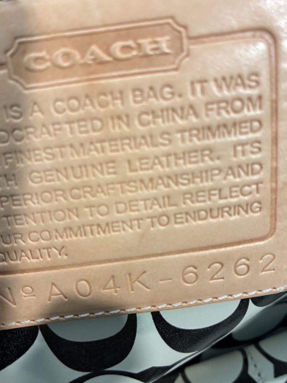 2Coach Travel Totes